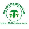Mr Boletus Mushroom Industry Co. Ltd.