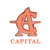 Anand Capital Services