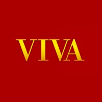 vivadesigner company history