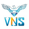 Vns Spark International Logo