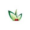 R.V. Agri Corporation Logo