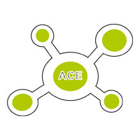 ACE MEDICAL CORPORATION Logo