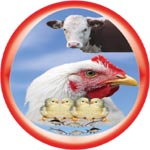 Growel Agrovet Private Limited Logo