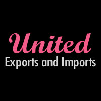 UNITED EXPORTS AND IMPORTS Logo