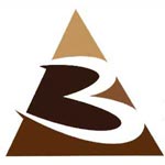 Bornaliz Industrial Consultancy Logo