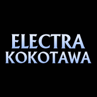 ELECTRA KOKO TAWA WELD PVT LTD Logo