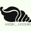 Systems Intl Logo
