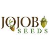 Jojoba Seeds