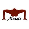 Muscle Man Bodybuilding Gym