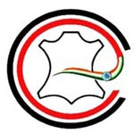 Camil Exim Logo