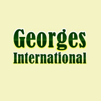 Georges International Logo