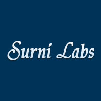 Surni Labs Logo
