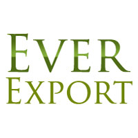 Ever Export Logo