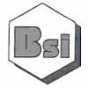 Bhavik Steel Industries Logo