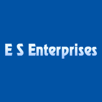 E S Enterprises Logo