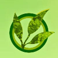 Naturogenic Organic Food Logo