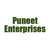 Puneet Enterprises Logo