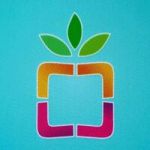 ColorBOX Exim Pvt Ltd