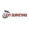 Lexy Surveying Ltd