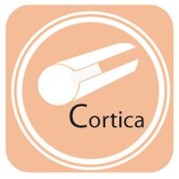 Cortica Mfg India Pvt. Ltd