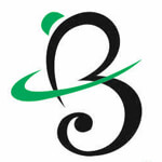 bhavnam impex Logo