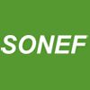 Qingdao Sonef Chemical Co. Ltd