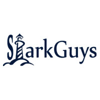 Spark guys Logo