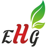 Evertouch Healthcare & Group Logo