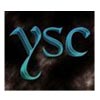 Yash Steel Centre Logo