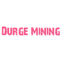 P R DURGE Logo