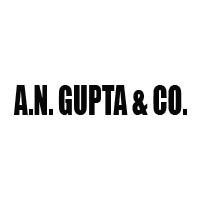 A.N. Gupta & Co. Logo