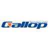 Gallop Technology Co. Ltd