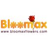 Bloomax Flowers