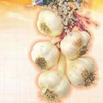 DD Garlic & Agro spices Logo