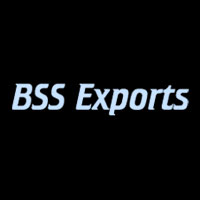 BSS Exports Logo