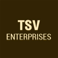 TSV ENTERPRISES Logo