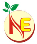 Nitin Enterprises