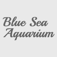 Blue Sea Aquarium