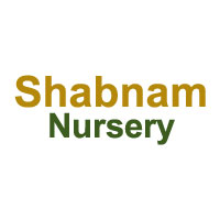 Shabnam Nursery