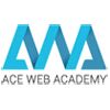 Ace Web Academy