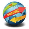 Embryonic Group