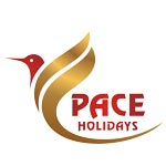 Pace Tours And Travels Logo
