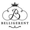 Belligerent Impex International Company Logo