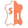 Silsar International Logo