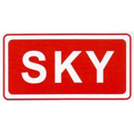 SKY AUTO INTERNATIONAL Logo