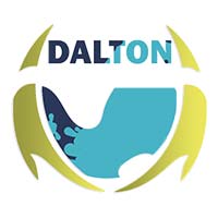 Dalton Mines and Minerals (P) Ltd. Logo