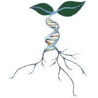 SIRI BIO LIFE SCIENCES