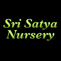 Sri Satya Nursery Logo