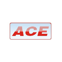ACE CONTROLTECH SYSTEM Logo