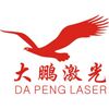 Shenzhen Dapeng Laser Technology Co., Ltd